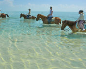 Brise de mer Luxury beach villas Turks and Caicos