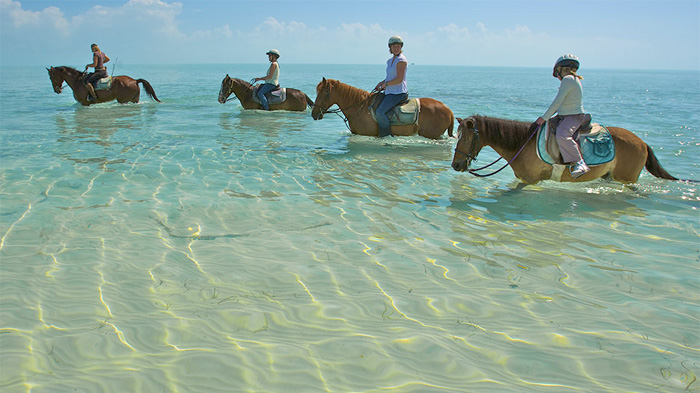 Brise de mer Luxury beach villas Turks and Caicos