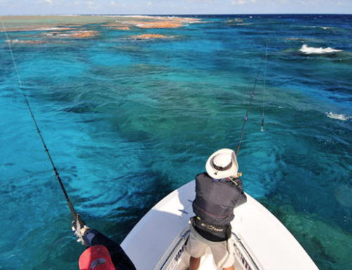 Reef Fishing